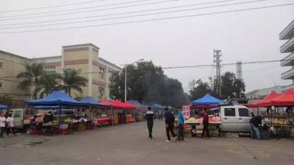 迎創文國考 促工作提升 烈日下謝崗城市綠化管理新篇章