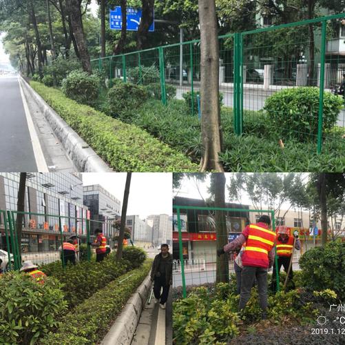 白云區(qū)城市管理局關(guān)于道路綠化管理工作的情況周報（2018年1月7日-2018年1月13日）